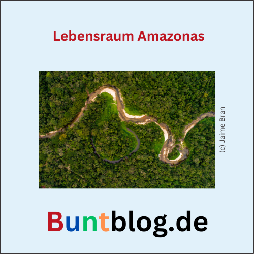 Lebensraum Amazonas, Buntblog.de